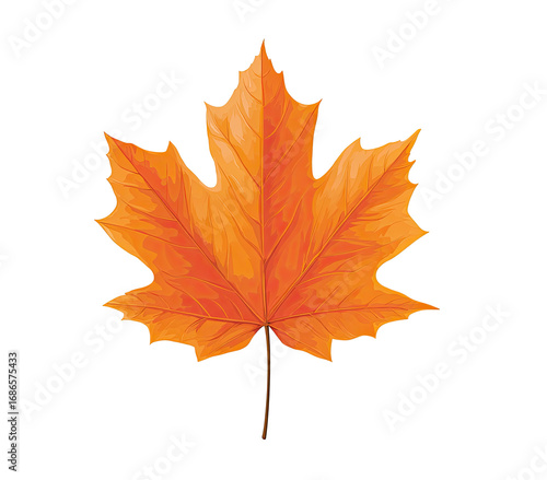 Wallpaper Mural Vibrant autumnal maple leaf graphic Torontodigital.ca