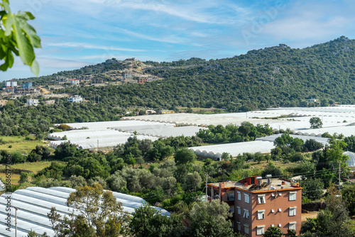 Early-season vegetables are produced in greenhouses in Demre (Kale, Myra) district. Citrus fruits constitute a significant portion of the district's agriculture..