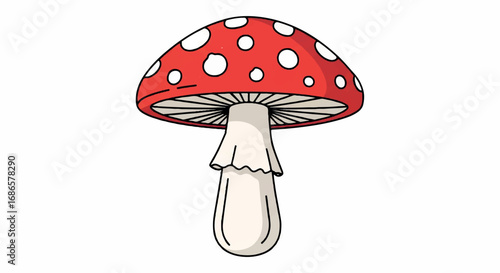 Red and White Spotted Mushroom Illustration.