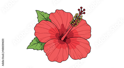 Vibrant Red Hibiscus Flower with Green Leaves.