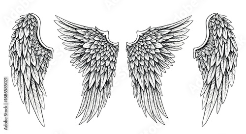 Set of detailed black and white angel wings illustrations