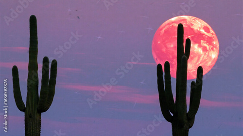 Red Moon Dramatic desert landscape with silhouetted cacti under a vibrant pink moon and starry twilight sky, perfect for travel, branding, and design projects