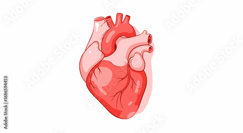 anatomical heart a delicate balance of lifes rhythm, isolated on transparent background