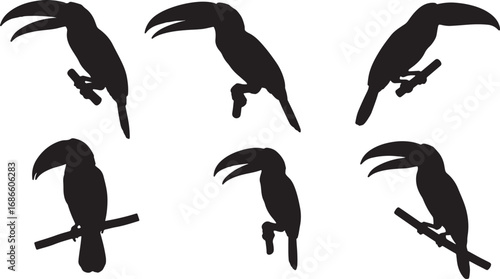 Six distinct black vector silhouettes of toucans in various poses, ideal for design projects related to tropical wildlife, birds, or jungle themes