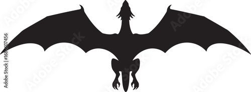 Black silhouette of a mythical dragon in flight with its wide wings spread, viewed from a top-down perspective, showcasing a powerful and dramatic pose