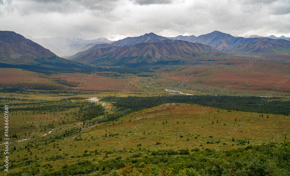 Obraz premium View of Savage River in Denali when autumn starts