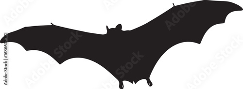 Flying bat silhouette with outstretched wings, representing Halloween and nocturnal wildlife