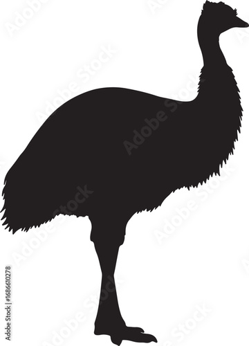 Silhouette of a flightless bird like an emu or cassowary standing, representing wildlife, nature, and the Australian outback