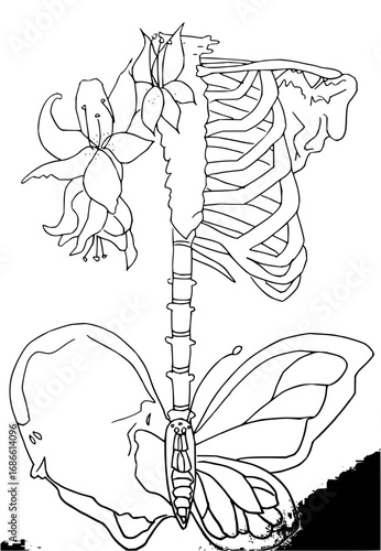 Striking anatomical floral art with butterfly and skeleton for unique design projects and creative concepts