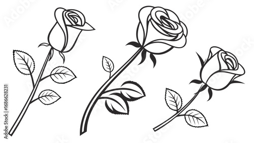 Elegant Line Art Rose Drawings Collection.