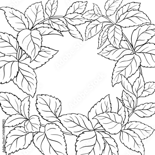 Melissa Branch with Leaves Outline Frame. Vector isolated for design or decoration.