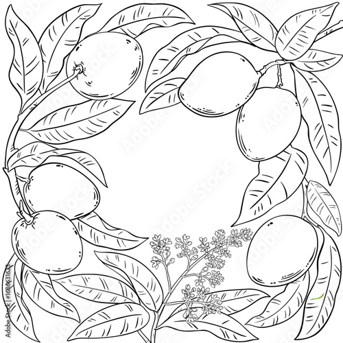 Mango Branch with Flowers, Fruits and Leaves Outline Frame. Organic natural nutritional healthy food ingredient, vegetarian diet product. Vector isolated for design or decoration.