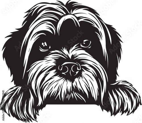 Affectionate Glance: The intricate linework and playful eyes capture the heart of a lovable canine, the image offers a simple, yet beautiful portrayal of dog's gentle charm.