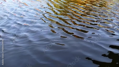 The rippling surface of a lake, creating ever-changing wave patterns. A calm atmosphere and the natural rhythm of nature.