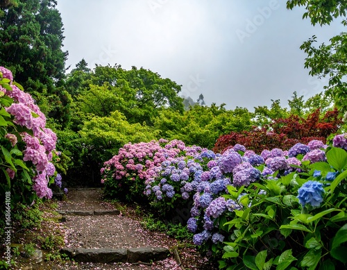 Vibrant hydrangea garden path