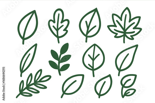 Collection of Various Minimalist Leaf Designs Featuring Different Shapes and Styles, Vector Cartoon Illustrations for Artistic and Graphic Inspirations, Nature Elements, Botanical Line Art