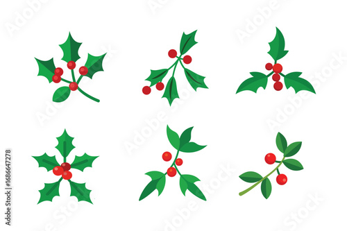 set of mistletoe vector illustration