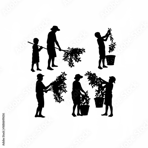 Elderly tea picker teaching a child to harvest leaves