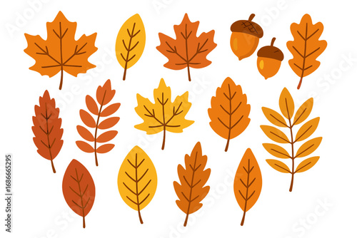 Autumn leaf collection vector illustration. Set of colorful fall foliage and acorns. Cartoon flat graphic design elements for seasonal decoration. Isolated natural forest concept.