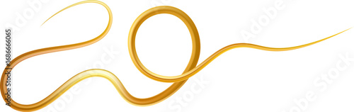 CNV_Gold_Swirl_Line_02_011.eps