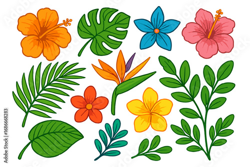 Set of tropical flowers and leaves. Vector cartoon illustration collection. Exotic floral elements like hibiscus, plumeria, monstera leaf for summer decorative design. Hawaii.