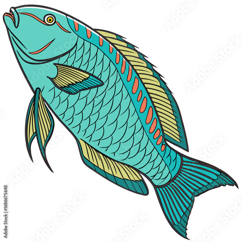 A colorful tropical parrotfish shown swimming upwards in a detailed drawing illustration on a solid white background