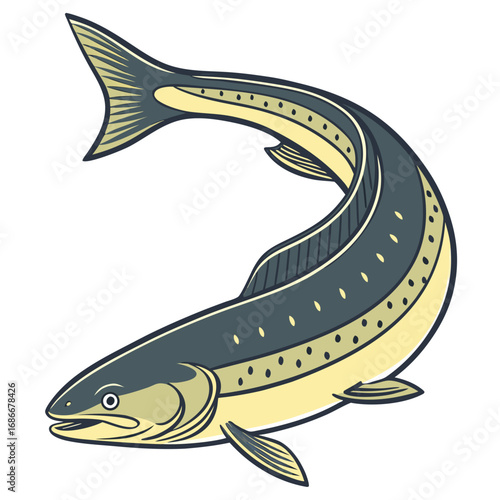 Illustrative Depiction of a Swimming Fish in Profile against a White Background