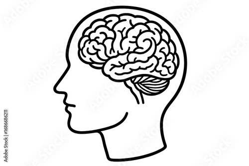 Human head outline with detailed brain illustration, mental intelligence concept, thought process visualization, psychology symbol, cognitive function, mind anatomy vector cartoon art