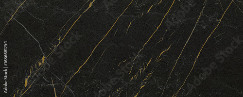 black marble texture with gold veins