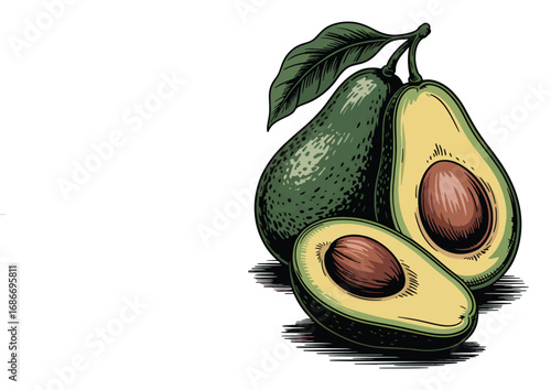 Avocado graphic vector t shirt design