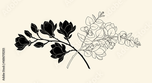 Artistic floral composition contrasting dark silhouette and delicate line art.