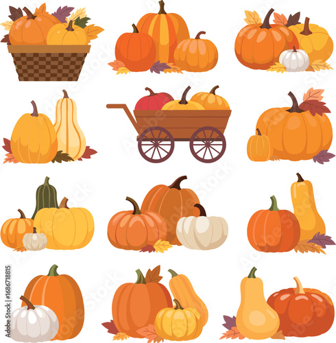 Collection of assorted pumpkins and gourds in various arrangements for autumn harvest season