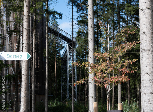 High path in the forest