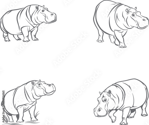 Set of Hippopotamus Vector Collection Detailed Line Art Illustrations of a Semi-Aquatic Animal

