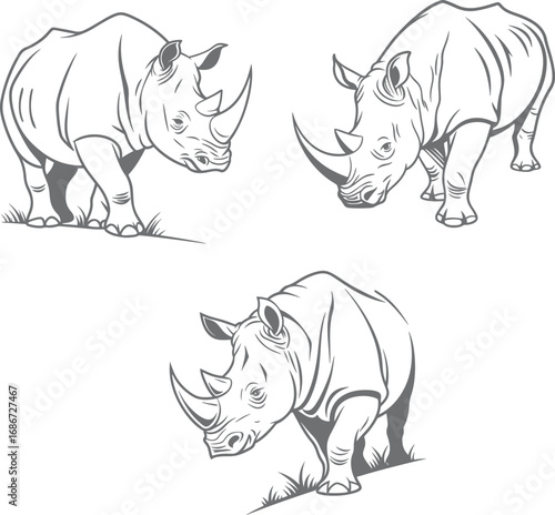 Set of Rhinoceros Vector Collection Detailed Line Art Illustrations of a Powerful African Animal

