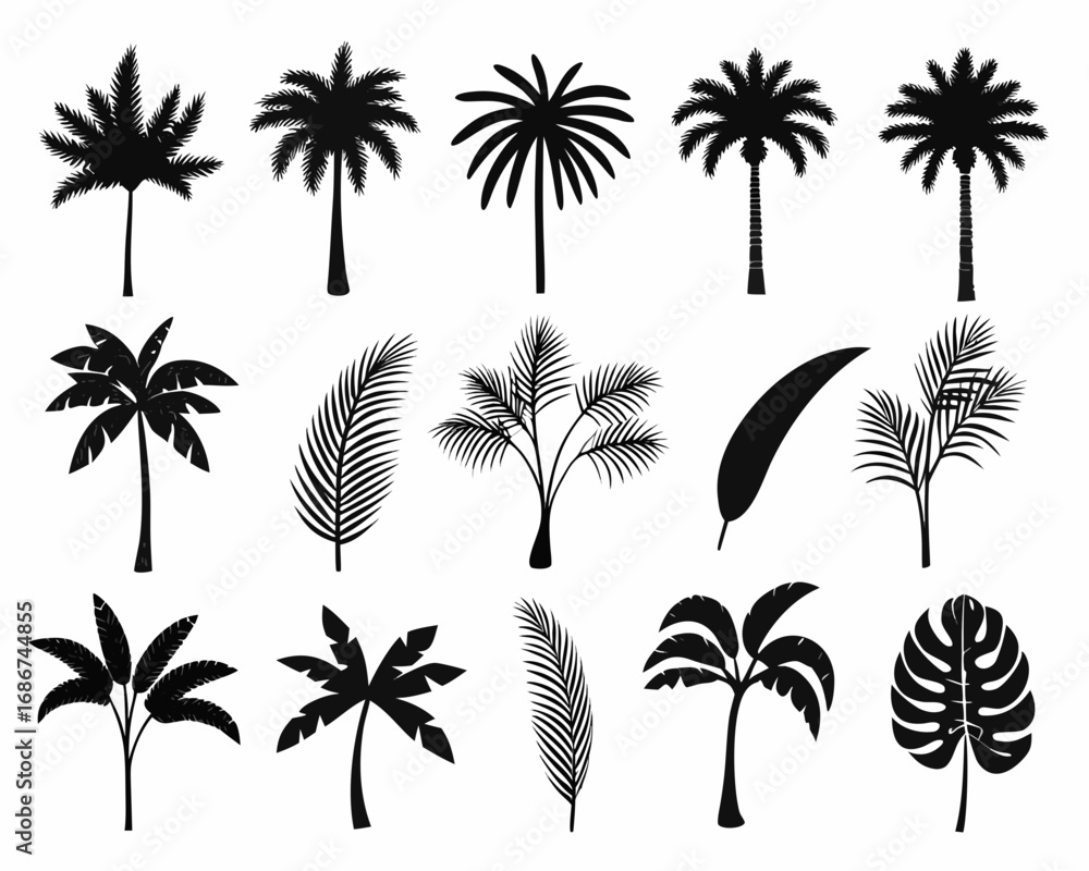 Obraz premium Collection of black palm tree silhouettes and leaves on white background
