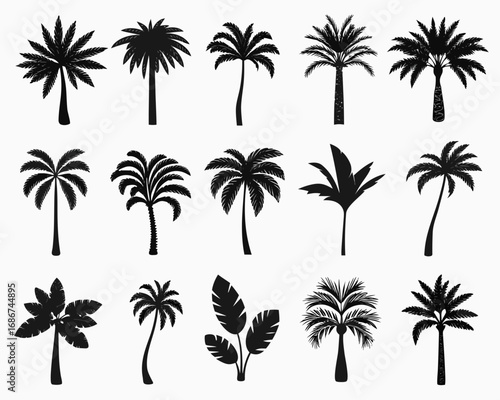Collection of diverse black palm tree silhouettes on a white background