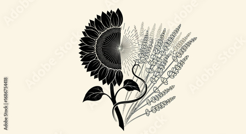 Artistic duality of sunflower and wheat stalks in contrasting styles.