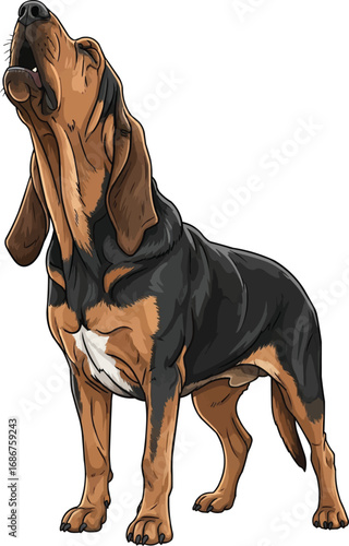 Bloodhound dog howling standing calling vector illustration