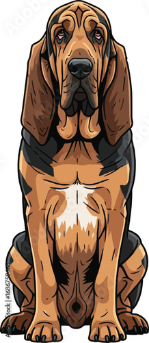 Bloodhound dog sitting relaxed facing front view vector illustration