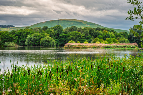 Island in east lake at Branton Lakes Nature Reserve, which was constructed from a former mineral quarry, located at Branton in the Breamish Valley, Northumberland