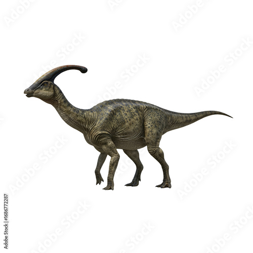 parasaurolophus dinosaur parasaurolophus dinosaur on transparent background