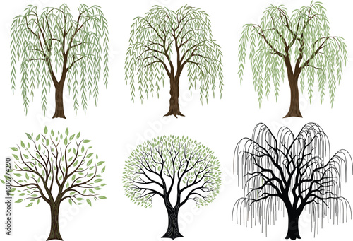 Collection of willow trees, elegant drooping branches, vector tree illustrations, isolated tree clipart, botanical design, natural landscape elements, greenery graphics
