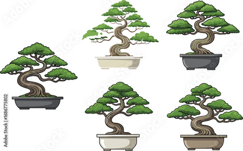 Beautiful bonsai tree collection, artistic miniature trees in pots, natural green foliage, decorative indoor plants, gardening, nature, traditional Japanese art