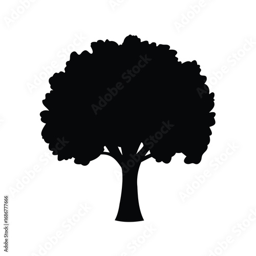 Silhouette of a lush tree with dense foliage and a sturdy trunk