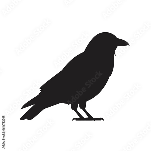Silhouette of a black crow standing on a white background a common bird often associated with mystery and nature