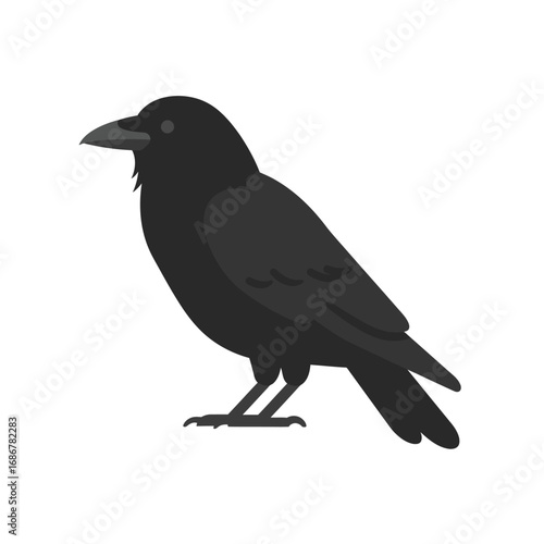 A detailed illustration of a solitary black crow standing on a white background