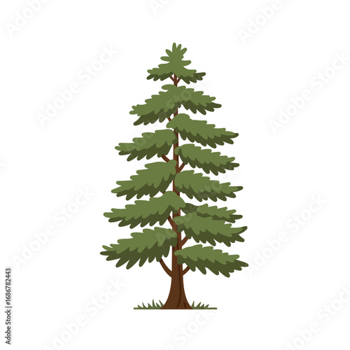 A tall majestic evergreen conifer tree with lush green needles and a sturdy brown trunk on a white background