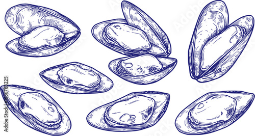 vector set of Cooked lipped mussel
