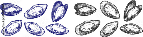vector set of Cooked lipped mussel
